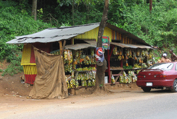 Fruit stand, Jamaica